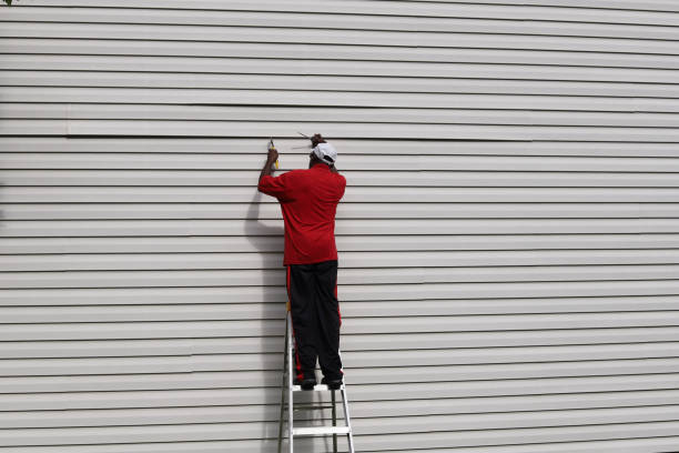 Best Siding Painting and Refinishing  in Dasher, GA
