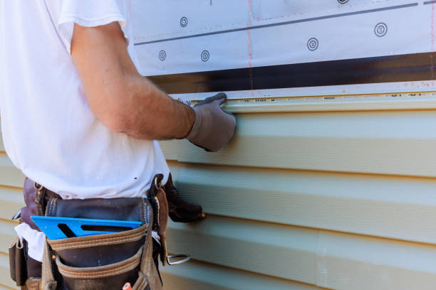 Best Custom Trim and Detailing for Siding  in Dasher, GA